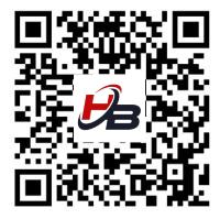 大尺度美女桌宠《你嫂子》Steam好评如潮！好评率97%